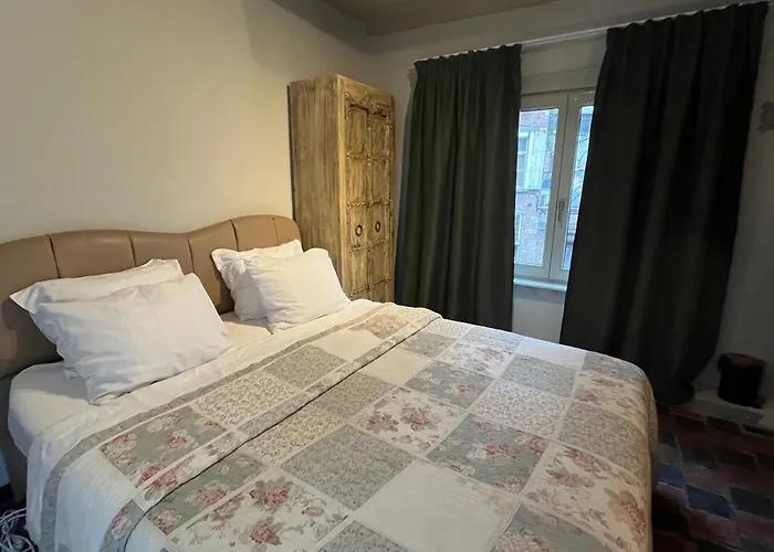 Inn Het Kathedraalhuis Goudblomme