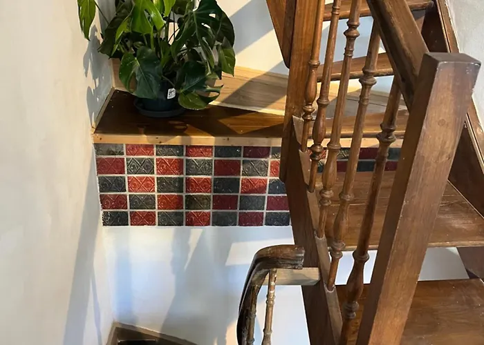 Inn Het Kathedraalhuis Goudblomme Antwerp